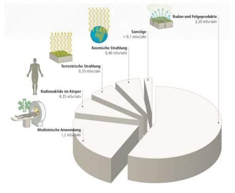 Figur 111-4: Zusammensetzung der durchschnittlichen Jahresdosis der Schweizer Bevölkerung von 5,5 Millisievert (mSv)