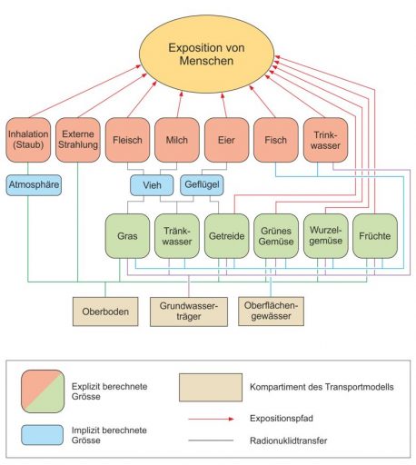 Figur 137-3: Schematische Darstellung des Expositionspfadmodells der Biosphäre. Entspricht Fig. 3.2-2 aus NAB 13-04.