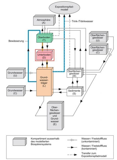 Figur 137-4: Schematische Darstellung der Kompartimente und Transportprozesse im Transportmodell der Biosphäre (ungünstiger Fall).