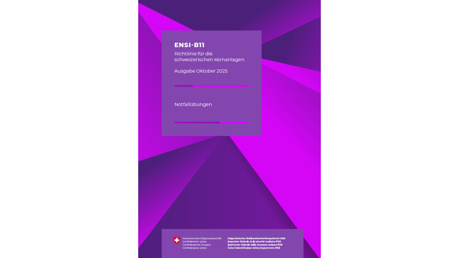 Richtlinie ENSI-B11 Ausgabe 2025