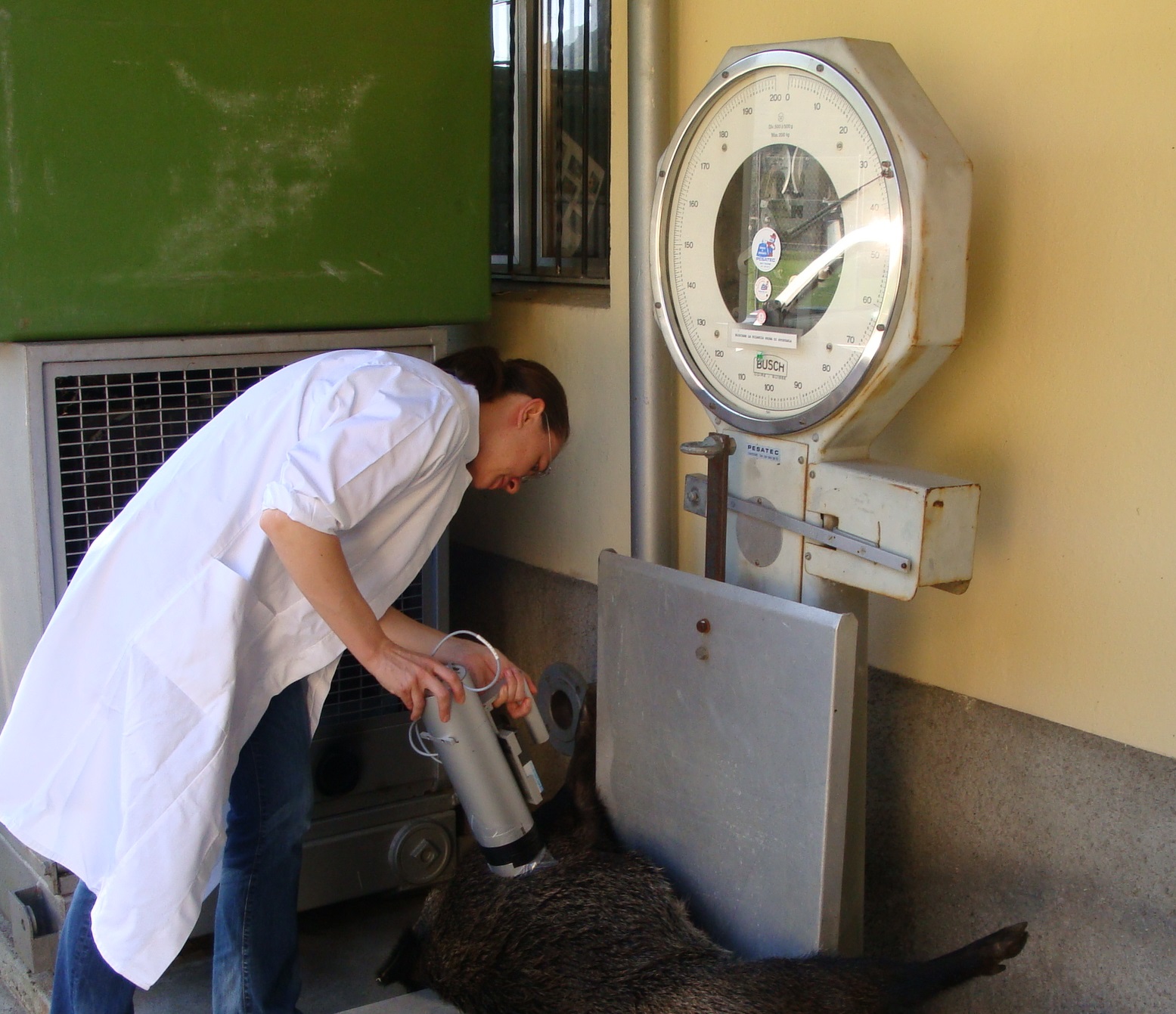 Dopo l'incidente, la vigilanza della radioattività nell'ambiente fù trasferita all Ufficio federale della sanità pubblica (fonte: G. Ferreri, UFSP)